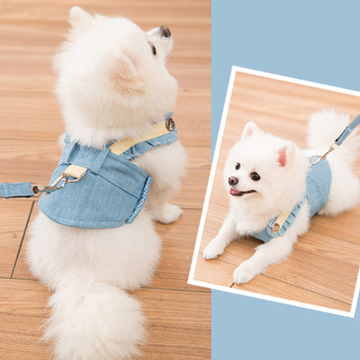 Cute Pet Dog Harness Leash Set