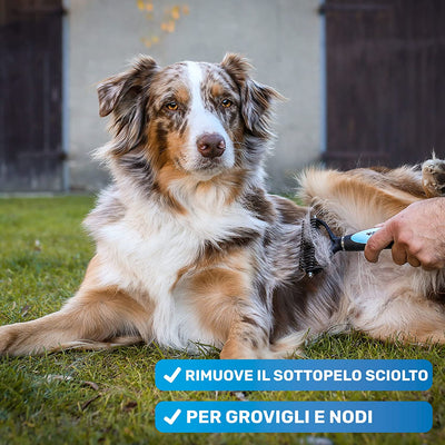 ® Spazzola per Cani E Gatti per Pelo Lungo | Il Pettine per Sottopelo Rimuove Sottopelo E Grovigli | Diradamento E Protezione Superiore Dei Capelli | Spazzola Di Pelliccia