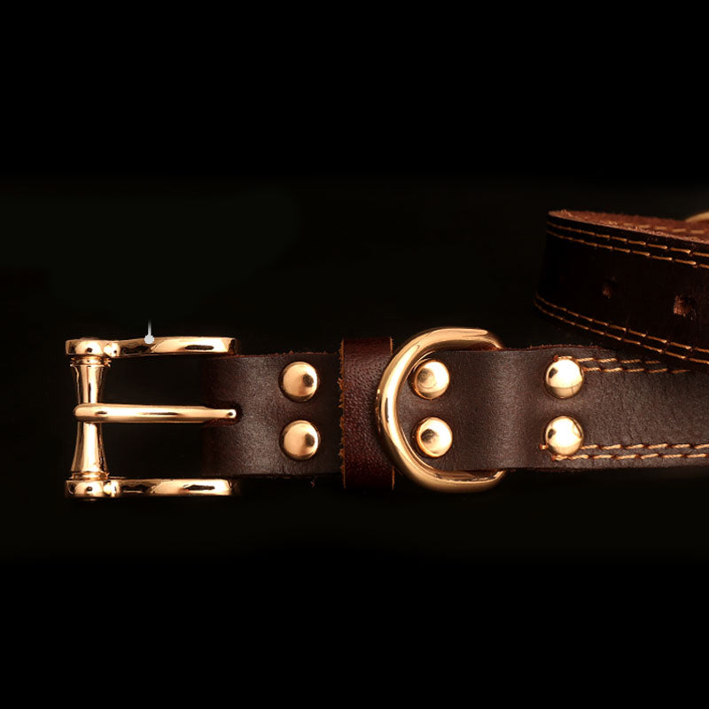 Genuine Leather Dog Collars with Engraved Nameplate