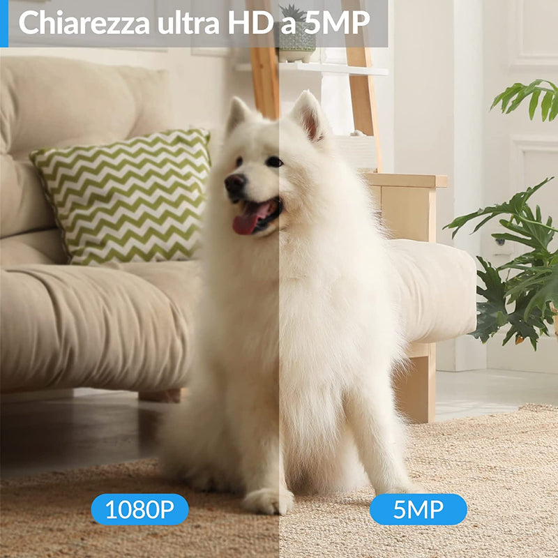 5MP Telecamera Wi-Fi Interno, Telecamera Di Sorveglianza Rotante a 360° Con AI Rilevamento Umano, Audio Bidirezionale, 2.4G, Visione Notturna, Compatibile Con Alexa&Google Assistant, R5