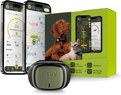 - GPS per Collare Cani E Gatti Evo - Tracker Salute E Attività - GPS Satellitare per Collare GPS Gatto E Cane - GPS Cani Waterproof - Localizzatore Con Alert Istantaneo E LED - Verde