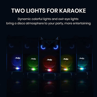 Cassa Karaoke Con 2 Microfoni Wireless,Karaoke Professionale Completo,Casse Bluetooth Potente Con Controllo Bassi/Alti,Altoparlante Portatile Con Luci Da Led,Supporto TWS/REC/AUX/MP3/USB/TF/FM