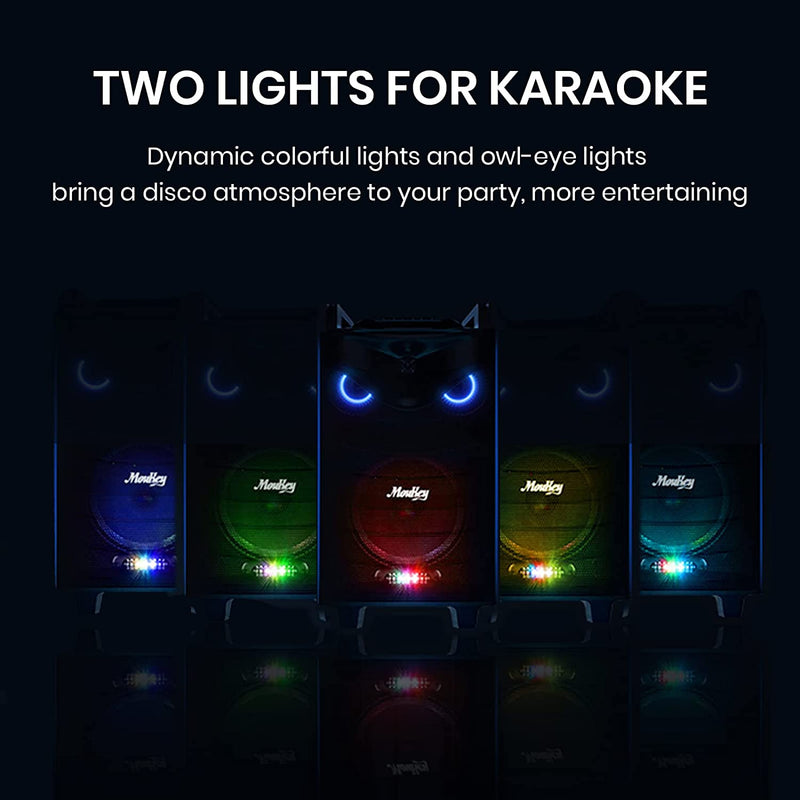 Cassa Karaoke Con 2 Microfoni Wireless,Karaoke Professionale Completo,Casse Bluetooth Potente Con Controllo Bassi/Alti,Altoparlante Portatile Con Luci Da Led,Supporto TWS/REC/AUX/MP3/USB/TF/FM