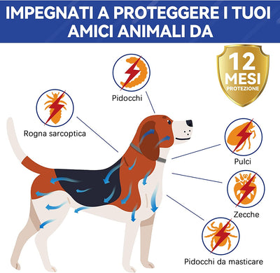 Collare Antiparassitario per Cani, Collare Antipulci Cane Sicuro Ed Efficace Composto Da Oli Essenziali Naturali Al 100%, Efficacia 12 Mesi 65Cm Collare Antizecche per Cani per Cani Di Tutte Le Taglie