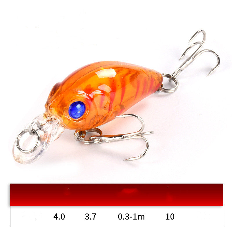 The 3.7G Luya Bait Set Is Specially Used for Killing Freshwater Cockroach