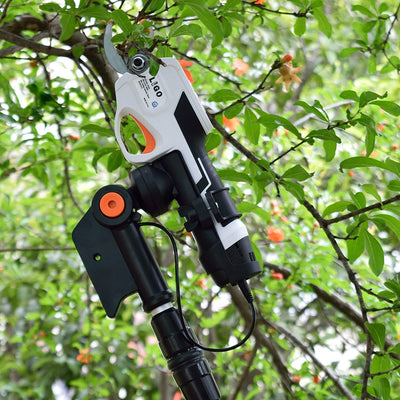 , Cesoie Elettriche Senza Fili Ricaricabili(2022 Versione), Asta Telescopica per Tagliare Rami D'Alberi, Diametro Di Taglio Massimo 25 Mm, Con Asta Telescopica