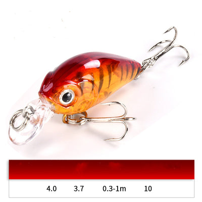 The 3.7G Luya Bait Set Is Specially Used for Killing Freshwater Cockroach