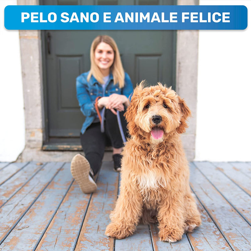 ® Spazzola per Cani E Gatti per Pelo Lungo | Il Pettine per Sottopelo Rimuove Sottopelo E Grovigli | Diradamento E Protezione Superiore Dei Capelli | Spazzola Di Pelliccia