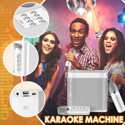 Bluetooth Sistema Di Karaoke, Sistema Di Altoparlanti PA Con 2 Microfoni Wireless, Altoparlante Karaoke Macchina Con USB, per Riunioni, Picnic(D'Argento)