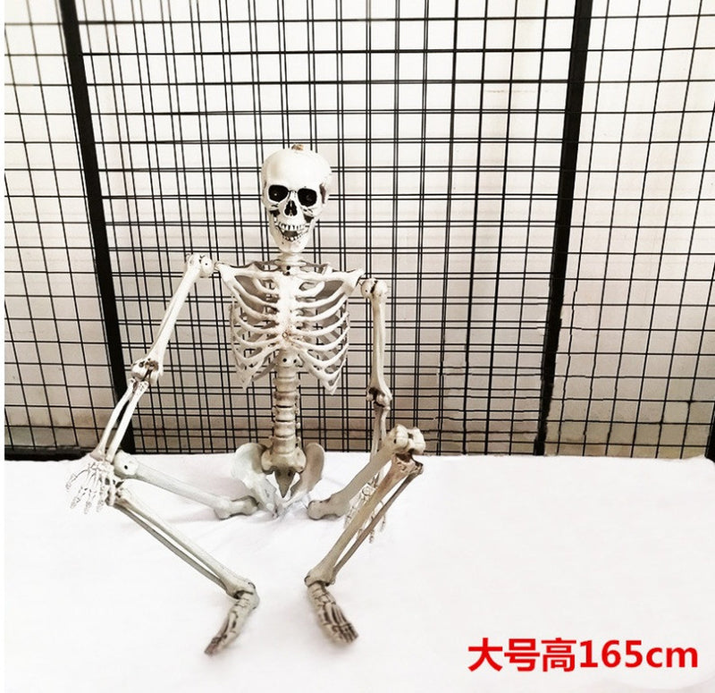 65 Inches Halloween Decoration Skeleton- Full Body Halloween Skeleton