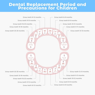 Contenitore per Denti Da Latte, per Bambini, per Denti Da Latte, per Bambini, per La Nascita