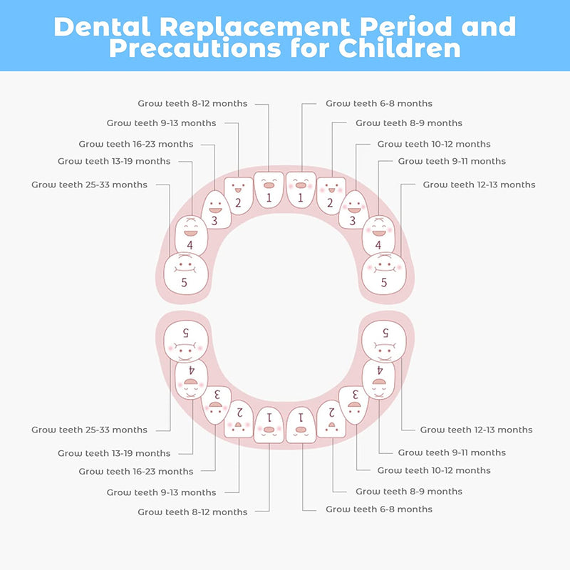 Contenitore per Denti Da Latte, per Bambini, per Denti Da Latte, per Bambini, per La Nascita