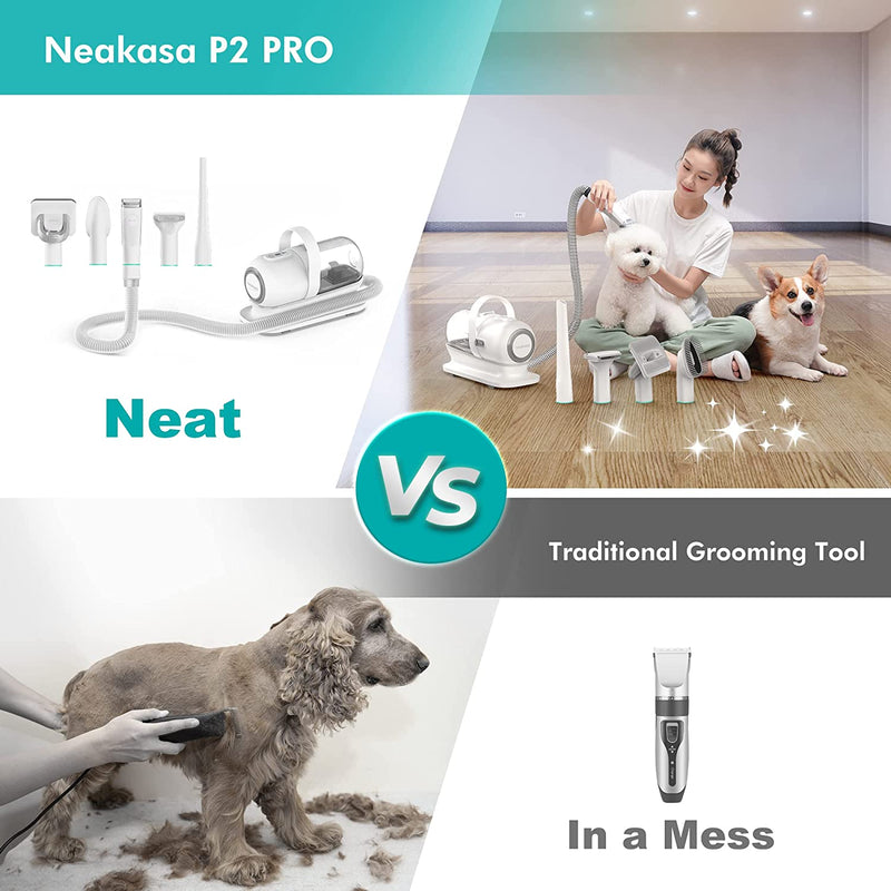 P1 PRO Kit per Toelettatura E Aspirazione a Vuoto per Animali Domestici, Tosatrice per Cani E Gatto Pelo Lungo Professionale, Con Spazzole per Cani E Altri 5 Strumenti per La Toelettatura