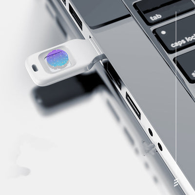 Fingerprint Input into Encrypted U Disk