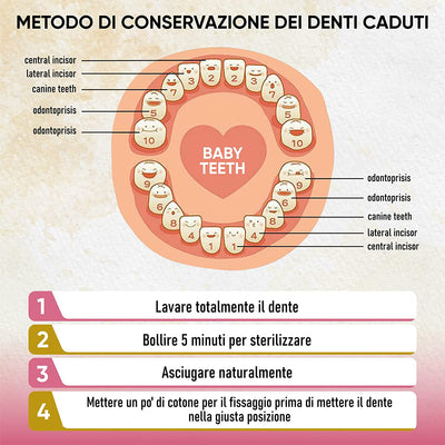 Scatola Porta Dentini Da Latte in Legno X Bambino E Bambina - Cofanetto Dentini per Conservare I Primi Dentini Dei Tuoi Bambini.Fatto a Mano. Scritte in Lingua Italiana. Idea Regalo X Ricordi