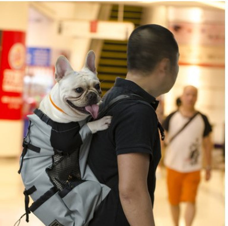 Ventilated and Breathable Pet Backpack