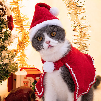 Pet Christmas Suit Cat Dog Cloak Hat