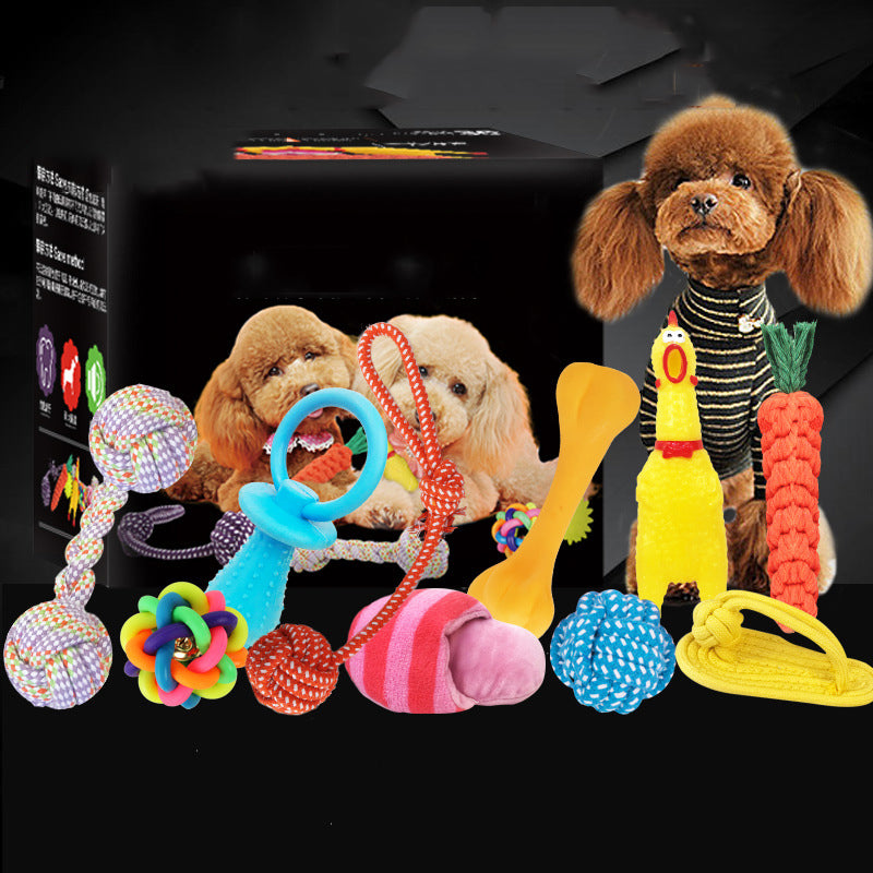 Vocal Dog Toy