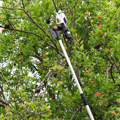 , Cesoie Elettriche Senza Fili Ricaricabili(2022 Versione), Asta Telescopica per Tagliare Rami D'Alberi, Diametro Di Taglio Massimo 25 Mm, Con Asta Telescopica