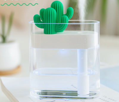 Transparent Cactus Humidifier