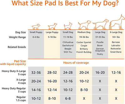 , Tappetini per L'Addestramento Di Cani E Cuccioli, Design a 5 Strati a Prova Di Perdite Con Superficie Ad Asciugatura Rapida, Dimensione Standard, Confezione Da 100