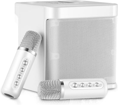 Bluetooth Sistema Di Karaoke, Sistema Di Altoparlanti PA Con 2 Microfoni Wireless, Altoparlante Karaoke Macchina Con USB, per Riunioni, Picnic(D'Argento)