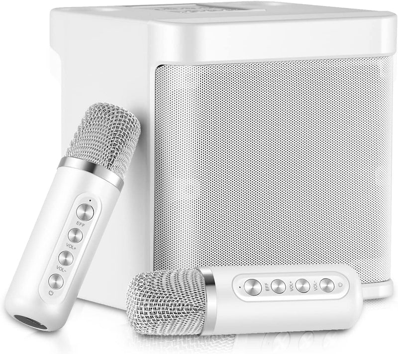 Bluetooth Sistema Di Karaoke, Sistema Di Altoparlanti PA Con 2 Microfoni Wireless, Altoparlante Karaoke Macchina Con USB, per Riunioni, Picnic(D&