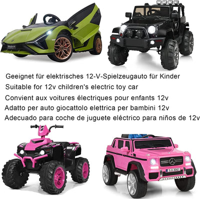 12V Caricabatterie per Auto Elettriche per Bambini, 12V 1A Caricabatterie per La Guida Elettrica Su Giocattoli Moto SUV ATV -Auto Una Varietà Di Auto Elettriche