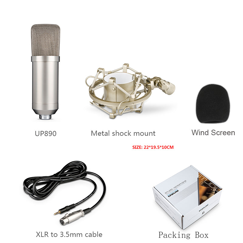 Condenser Microphonelarge Diaphragm Condenser Microphone