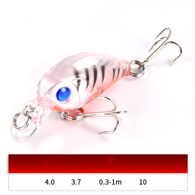 The 3.7G Luya Bait Set Is Specially Used for Killing Freshwater Cockroach