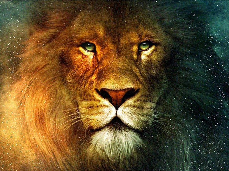 Diamond Painting Lion 5D DIY Embroidery Animal Art Decoration