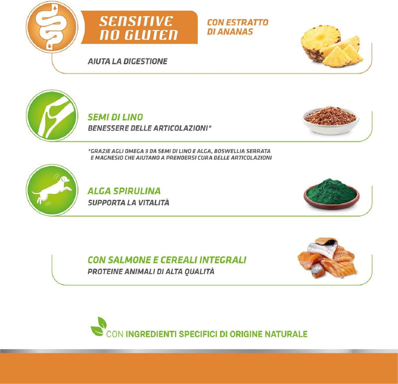 Natural  Sensitive No Gluten Cibo per Cani Adulti Con Salmone - 12Kg