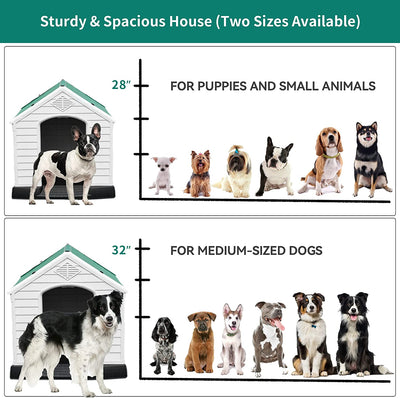 Media Cuccia per Cani in Plastica Esterno Interno, Casa per Cane Isolata E Resistente All'Acqua, Cuccia Solida Con Aerazione E Pavimento Rialzato, Verde, 87.7 X 78.5 X 81.5 Cm