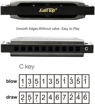 - Armonica Diatonica a 10 Fori, 20 Toni, Chiave Di C Blues Bocca Organo, Armonica per Adulti, Principianti, Professionisti E Studenti (Grigio Argento)