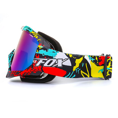 Sports Ski Goggles