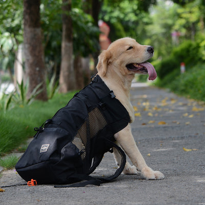 Ventilated and Breathable Pet Backpack